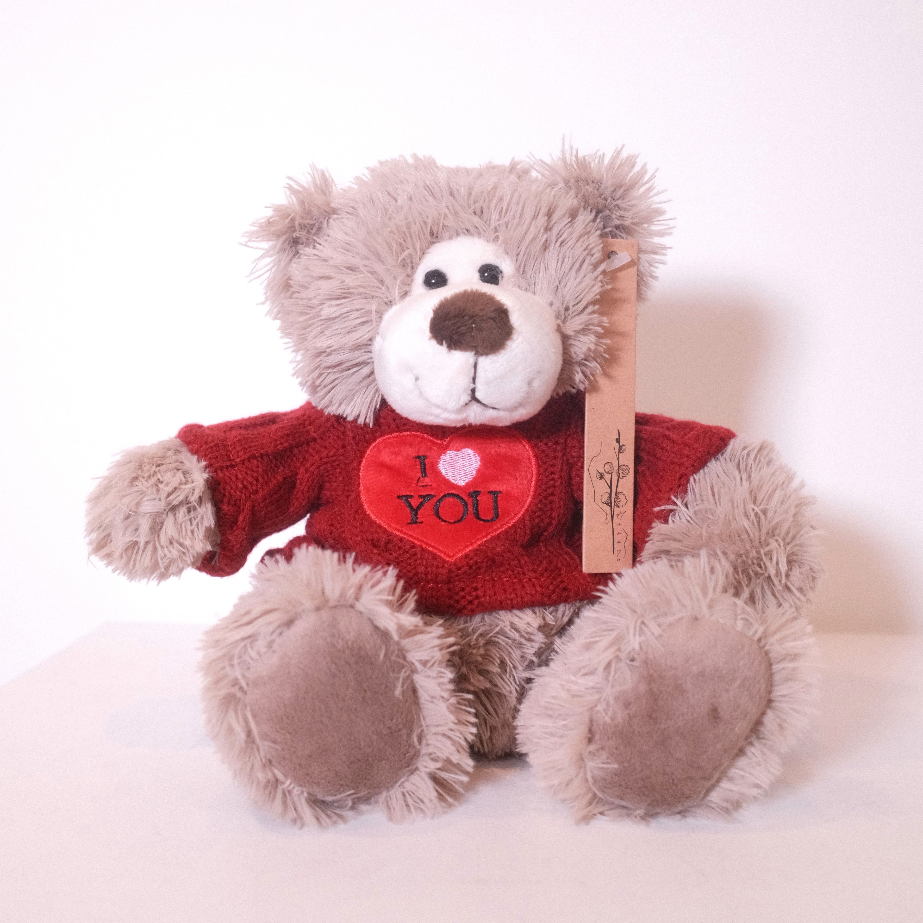 Teddy Bear Orutā (21cm)