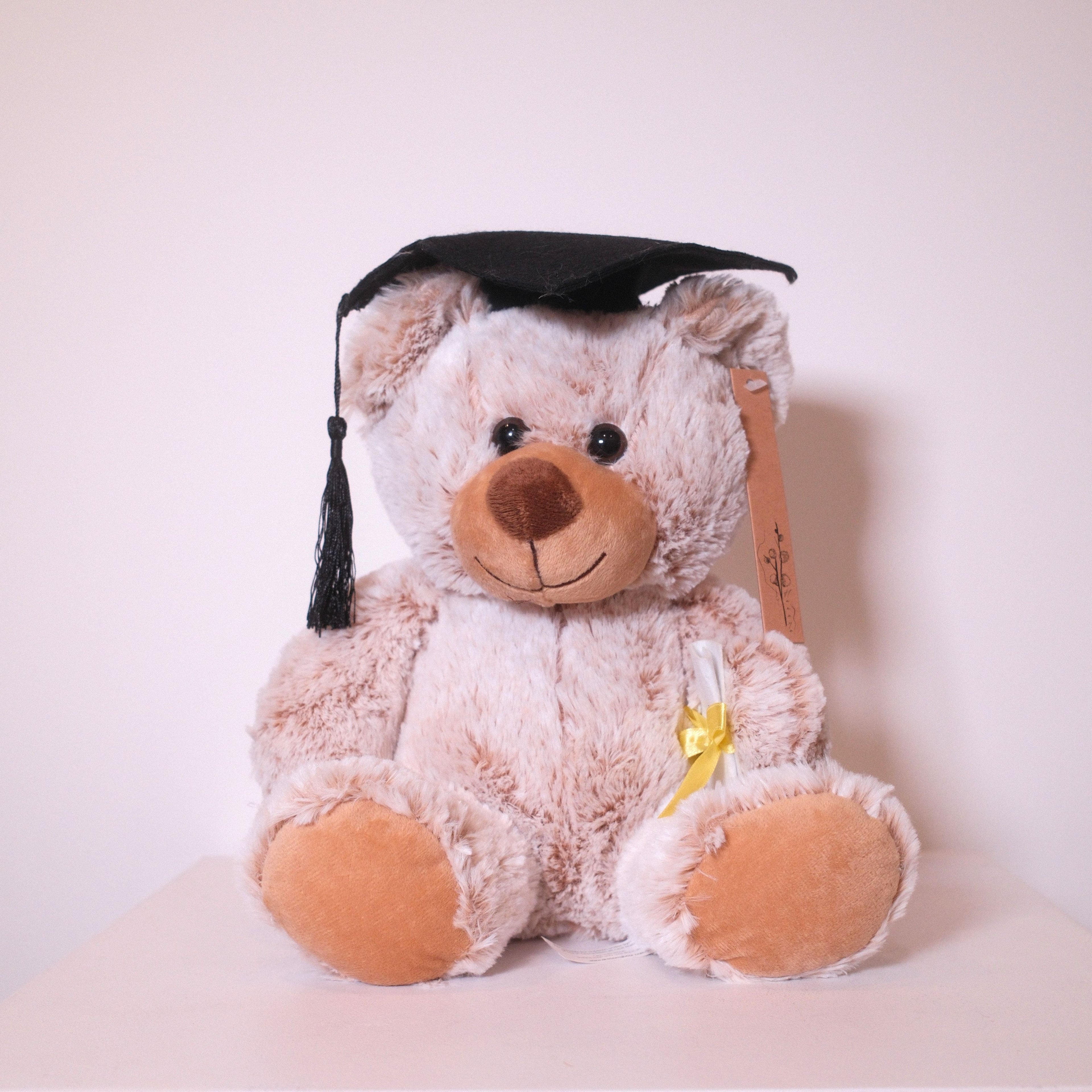 Graduation Bear Osukā (26cm)