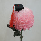 Graduation Hat